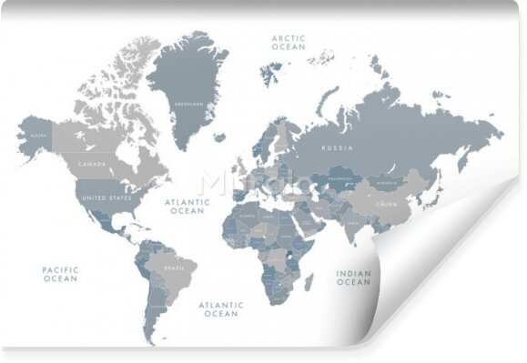 Fototapeta Pastelowa szara mapa polityczna świata