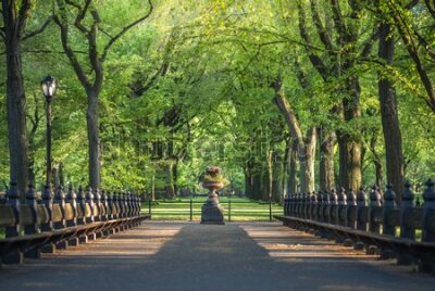 Fototapeta Plac widokowy w Central Park NYC