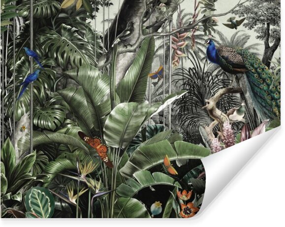Fototapeta Ptaki liście tropikalne dżungla