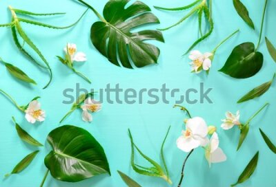 Fototapeta Rośliny tropikalne i białe kwiaty