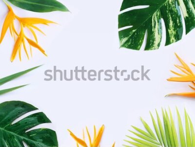 Fototapeta Rośliny tropikalne i żółte kwiaty