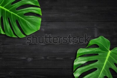Fototapeta Rośliny tropikalne na drewnie