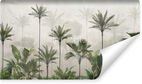Fototapeta Rośliny tropikalne palmy zieleń