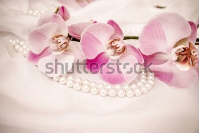 Fototapeta Różowe orchidee i perły