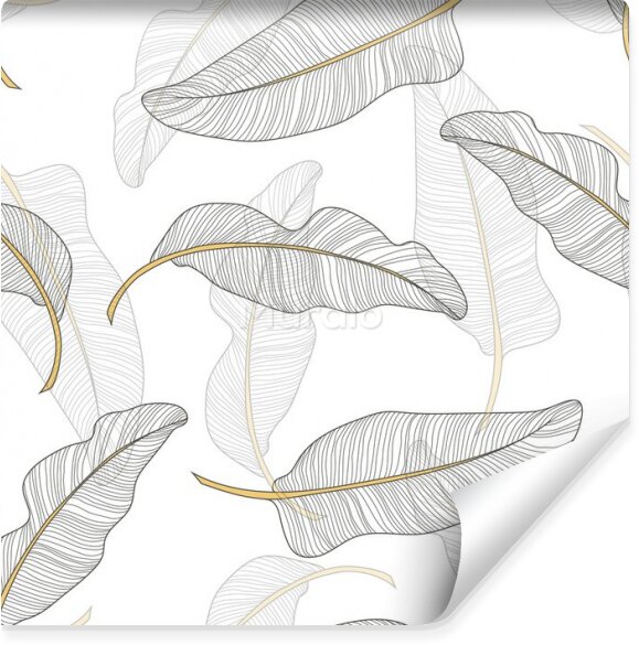 Fototapeta Rysowane tropikalne liście na białym tle