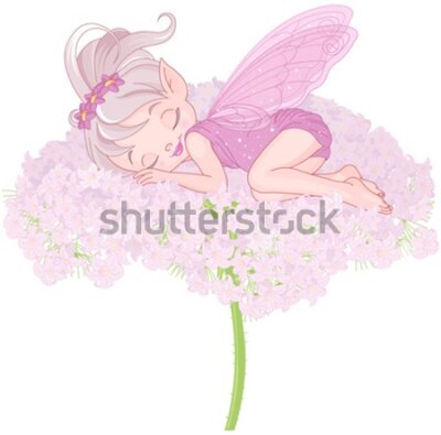 Fototapeta Śpiąca wróżka na kwiatkach