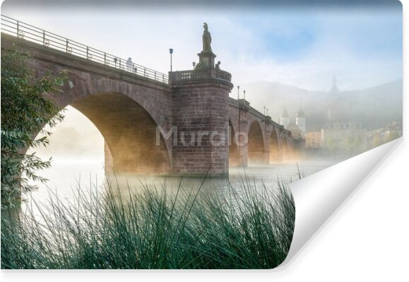 Fototapeta Stary Most w Heidelbergu