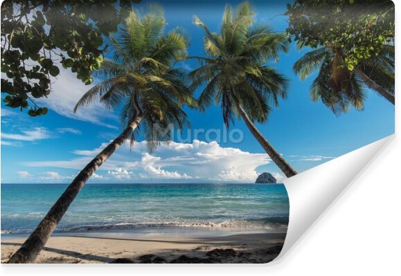 Fototapeta Tropikalna plaża pod palmami