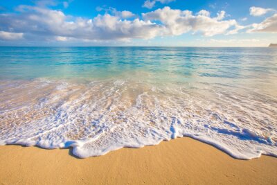Fototapeta Tropikalna plaża pod pięknym niebem