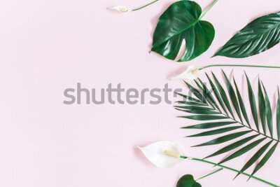 Fototapeta Tropikalne rośliny liście i kwiaty