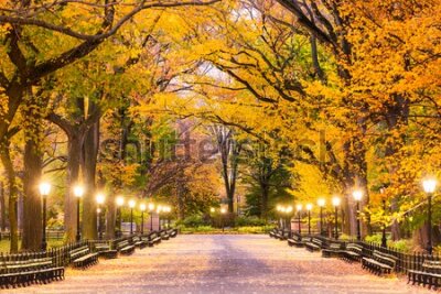 Fototapeta Uliczka Central Parku w Nowym Jorku