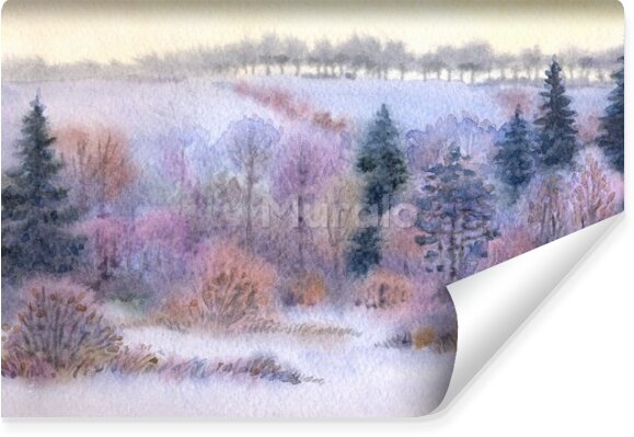 Fototapeta Zimowy las w dolinie