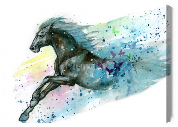 Obraz Akwarela ilustracja konia