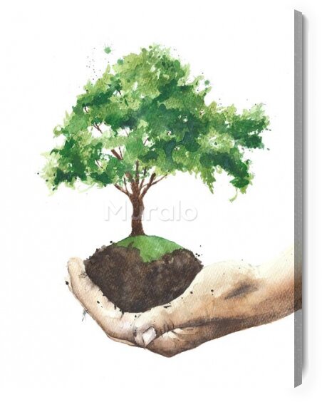 Obraz Akwarelowe drzewo w dłoni