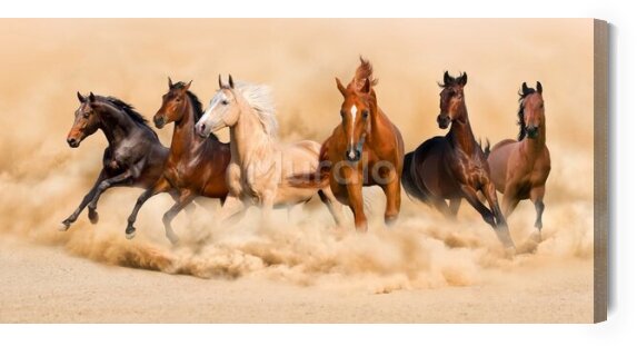 Obraz Canvas stado koni w galopie widok 3d