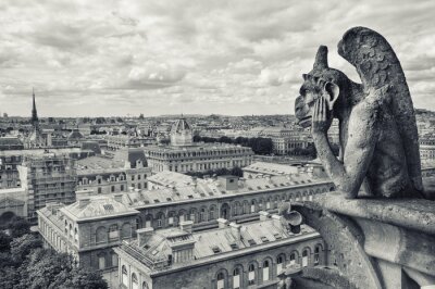 Obraz Czarno-biała panorama Paryża