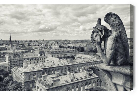 Obraz Czarno-biała panorama Paryża