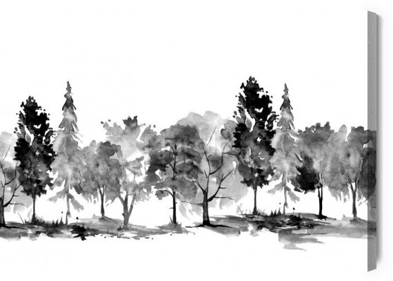 Obraz Drzewa czarno-białe malowane akwarelą