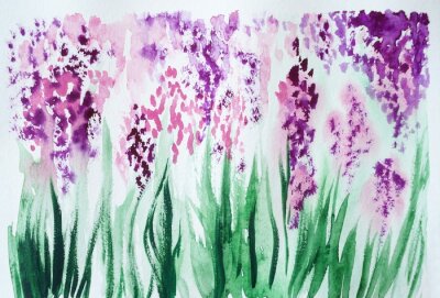 Obraz Fiolet kwiatów na polanie