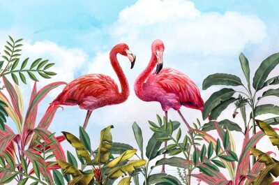 Flamingi chmury natura