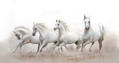 Obraz Galopujące stado koni na pustyni 3d