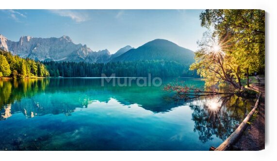 Obraz Górskie jezioro w lesie