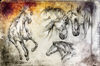 Obraz Konie jak naszkicowane