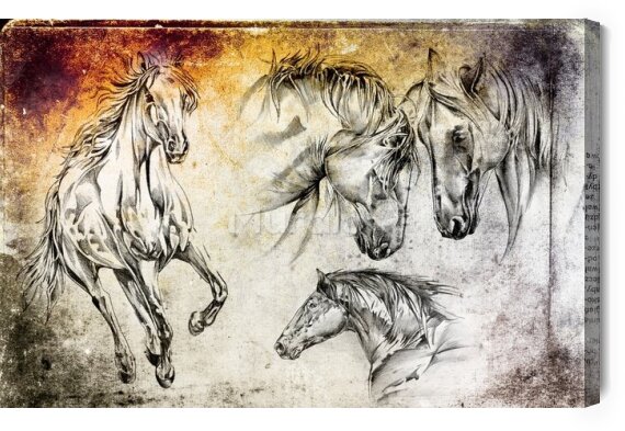 Obraz Konie jak naszkicowane
