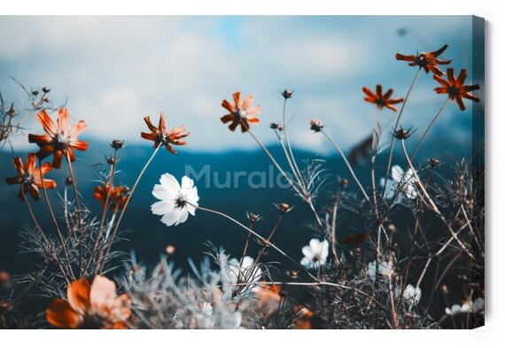 Obraz Kwiaty polne, liście