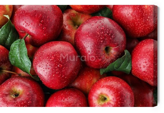 Obraz Many ripe juicy red apples covered with water drops as background