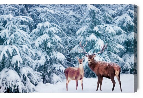 Obraz Mieszkańcy zimowego lasu