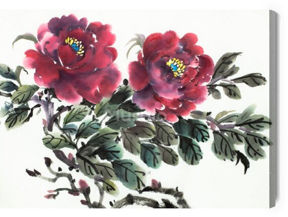 Obraz Na płótnie Burgundowe kwiaty piwonii