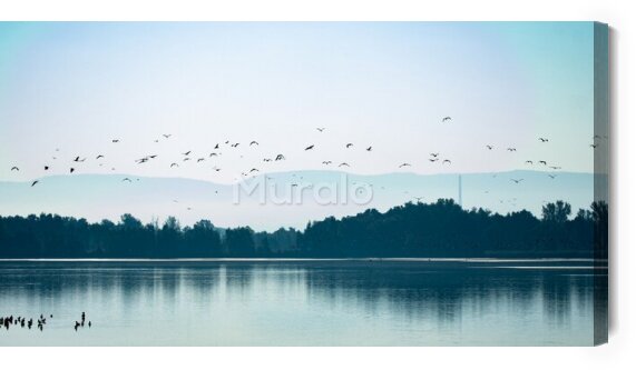 Obraz Odlatujące ptaki nad jeziorem
