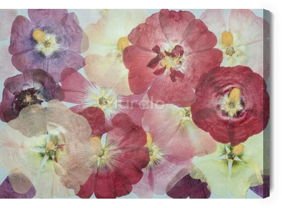 Obraz Piękne kolorowe kwiaty malowane akwarelą