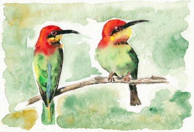 Obraz Piękne malowane ptaki na gałązkach
