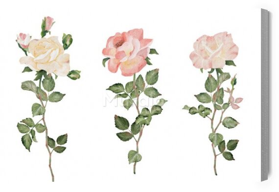 Obraz Róże z łodygami