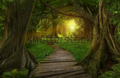 Obraz Ścieżka w głębi lasu