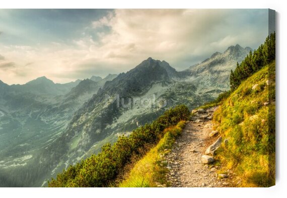 Obraz Ścieżka w Górach