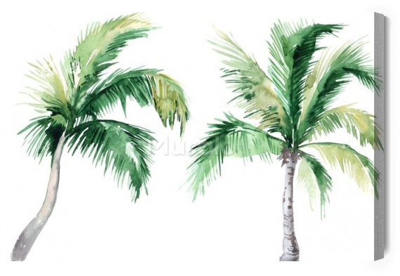 Obraz Tropikalne drzewa malowane akwarelą