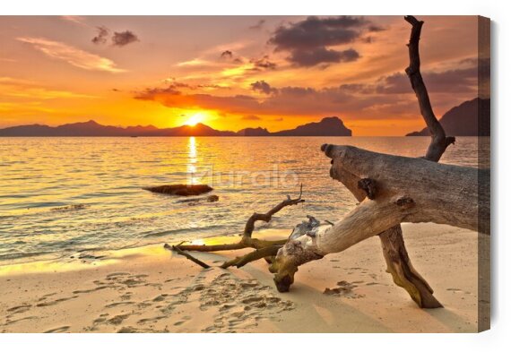 Obraz Zachód słońca na dzikiej plaży