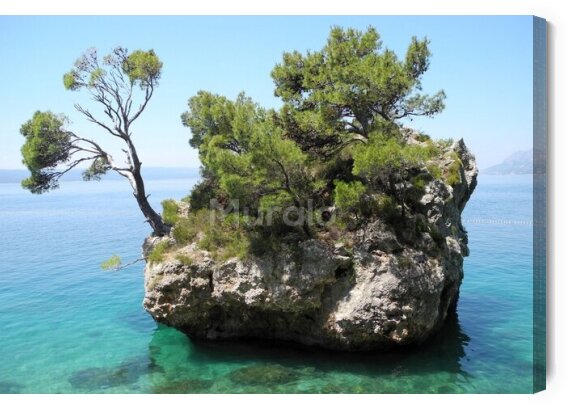 Obraz Zielone drzewa na kamieniu w morzu