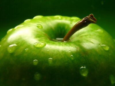 Obraz Zielone jabłuszko