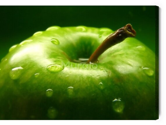 Obraz Zielone jabłuszko