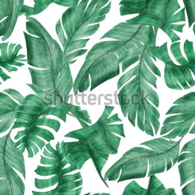 Tapeta Akwarelowe liście tropikalne retro