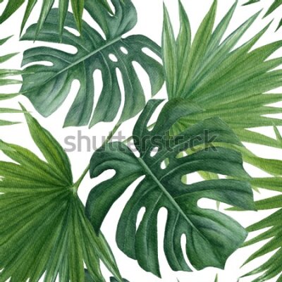 Tapeta Akwarelowe zielone liście tropikalne