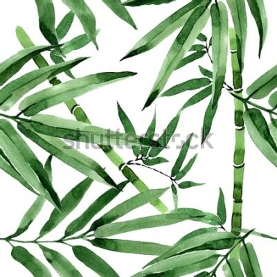 Tapeta Bambusowy las z liśćmi