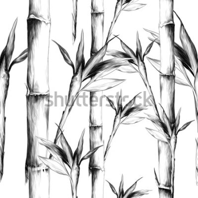 Tapeta Czarno-biały bambusowy las