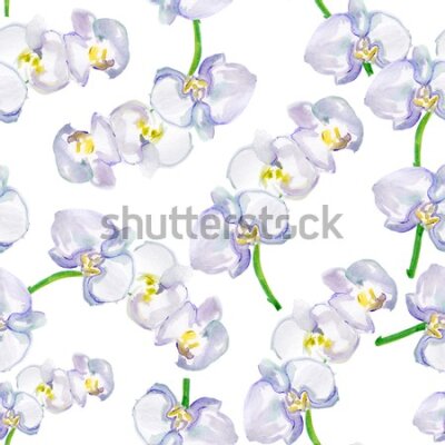 Tapeta Do salonu orchidea storczyk kwiaty natura