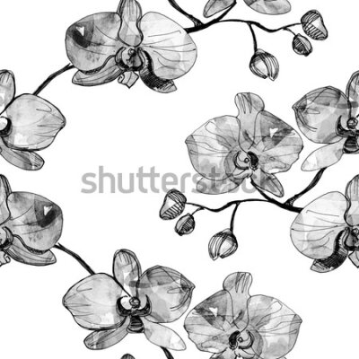 Tapeta Do salonu storczyki kwiaty orchidea natura