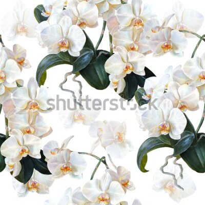 Tapeta Do sypialni egzotyczne storczyki orchidee